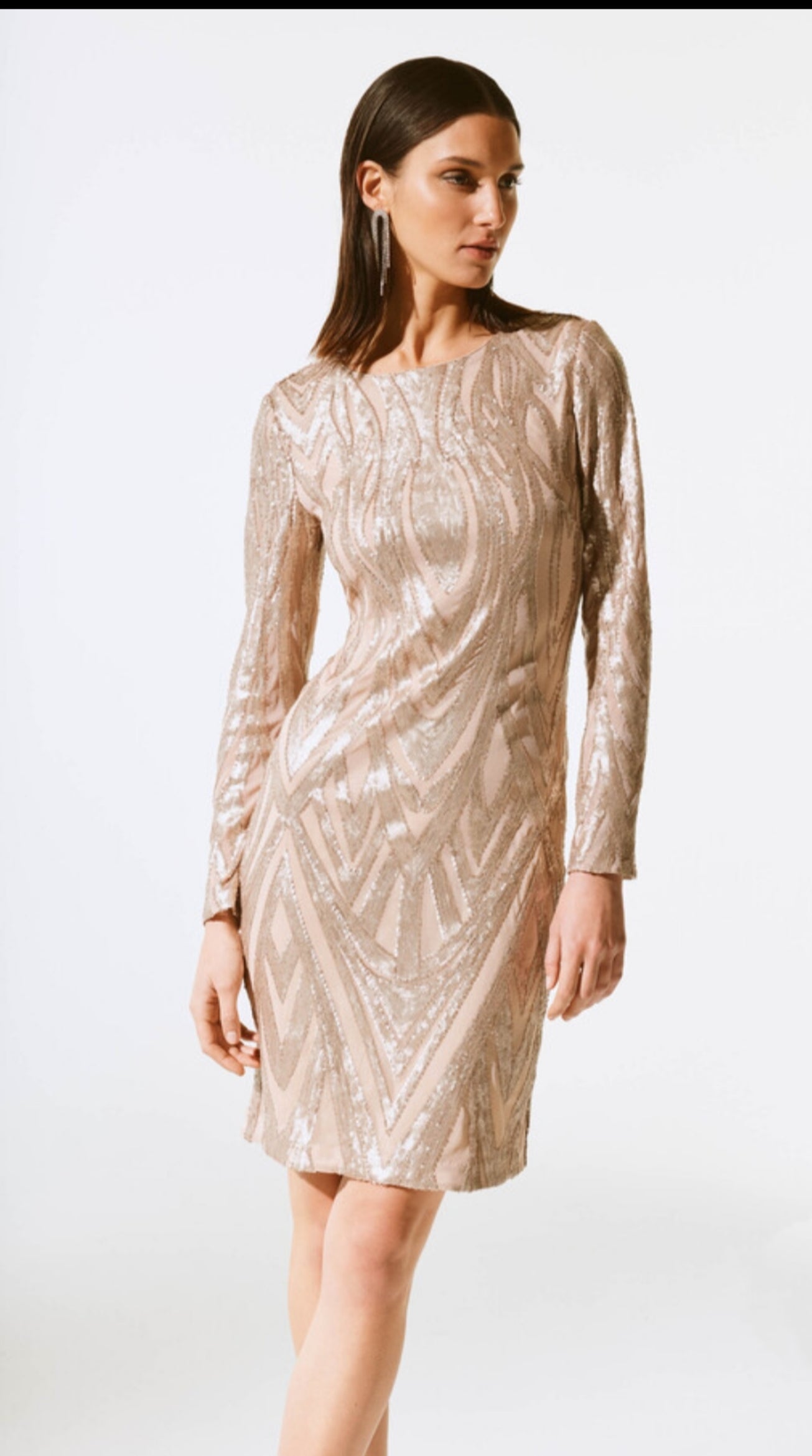 Joseph Ribkoff party dress